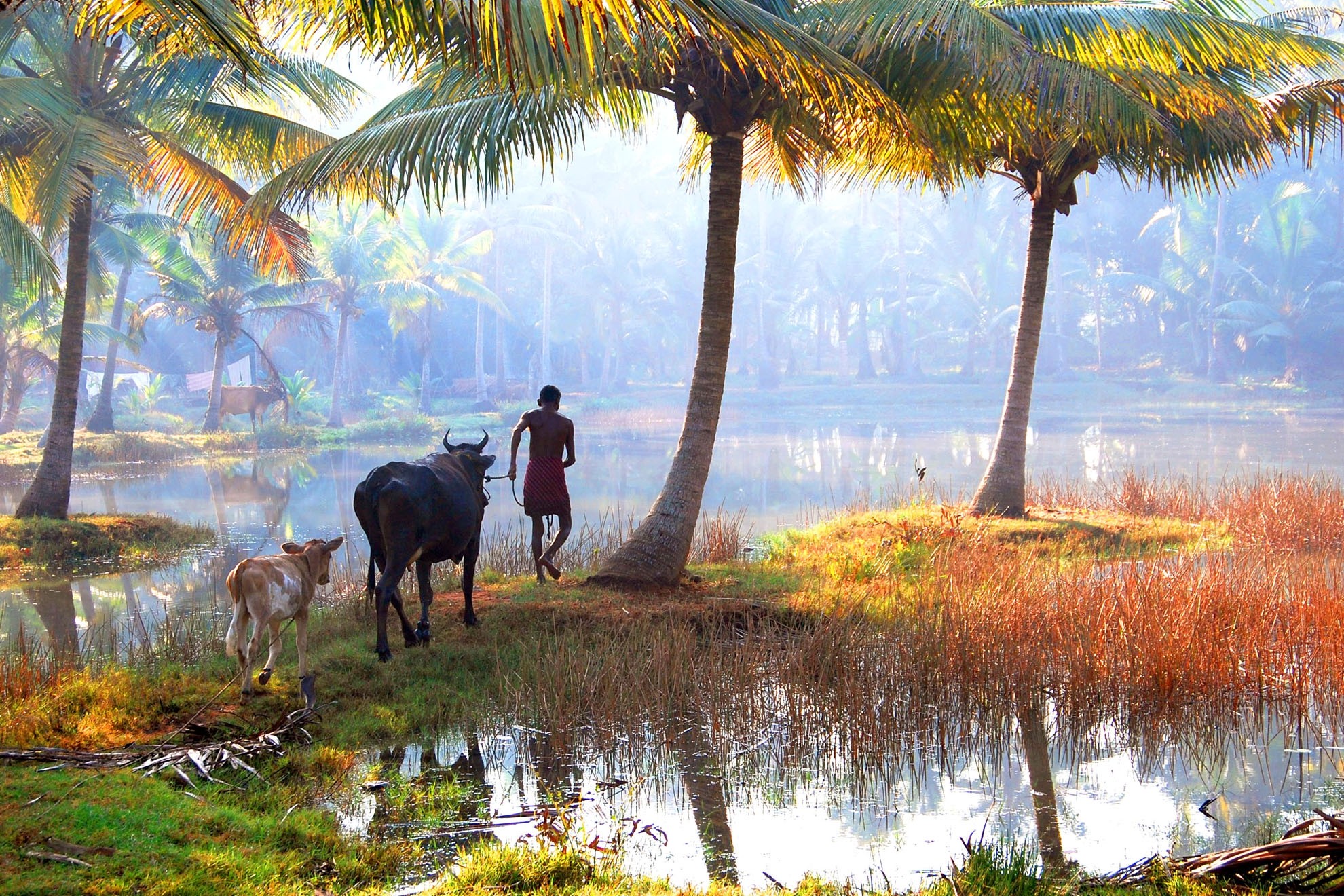 Village Life In Kerala 