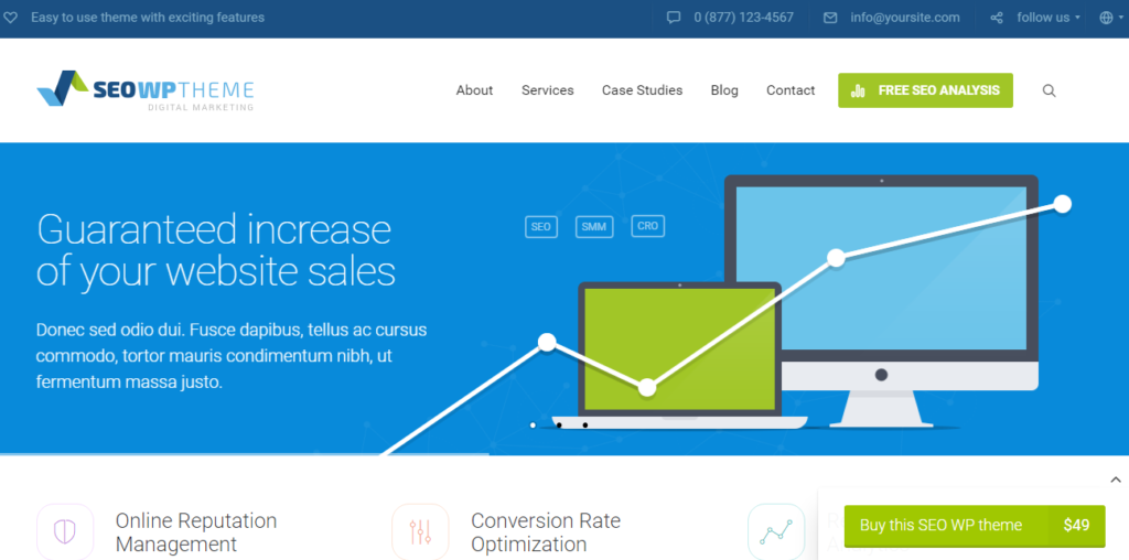 SEO WP Theme for Online Marketing, SEO, Social Media Agency