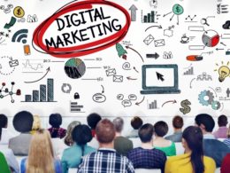 digital marketing - SEO