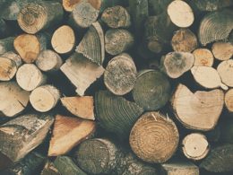 sustainable wood