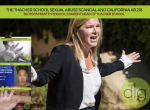 school sexual abuse
