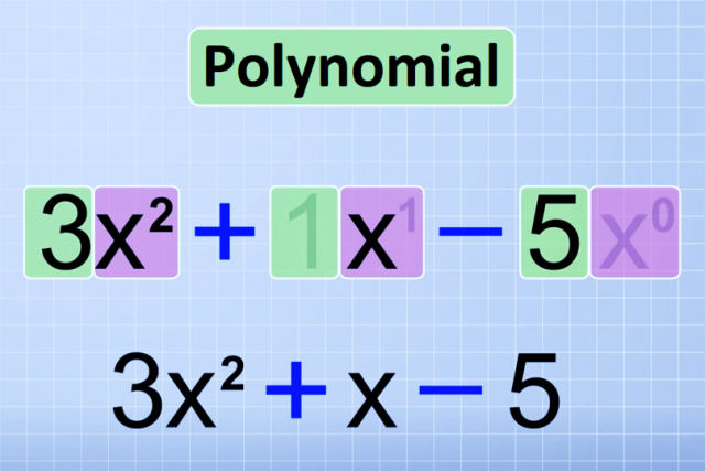 polynomial