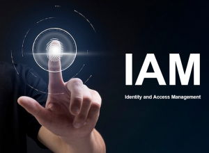 (identity and access management)