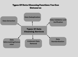 Data Cleansing Functions