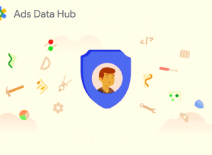 google ads data hub