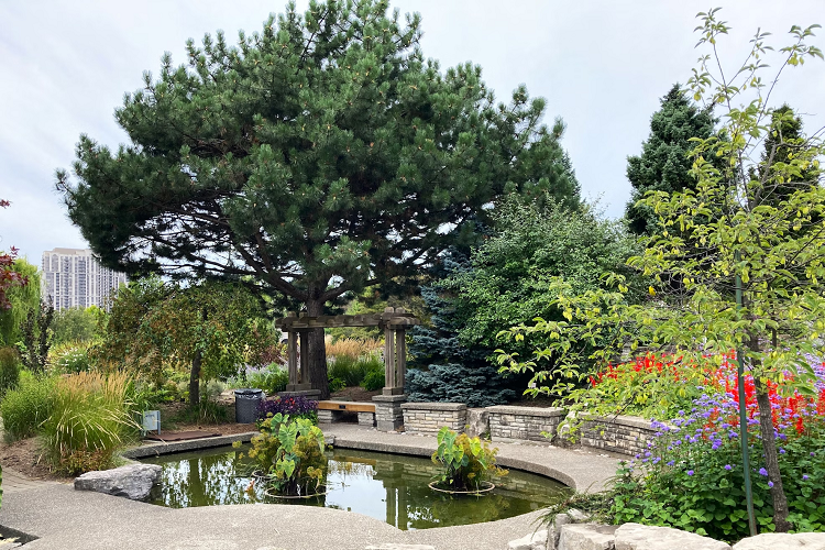 zen-inspired garden