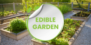 Edible Garden