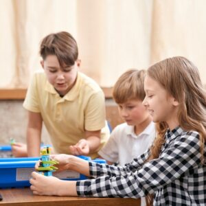 Gamification in Education