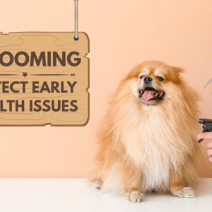 Grooming Can Help Detect Early Health Issues in Dogs