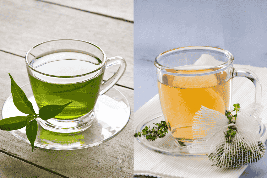 Green Tea vs Herbal Tea