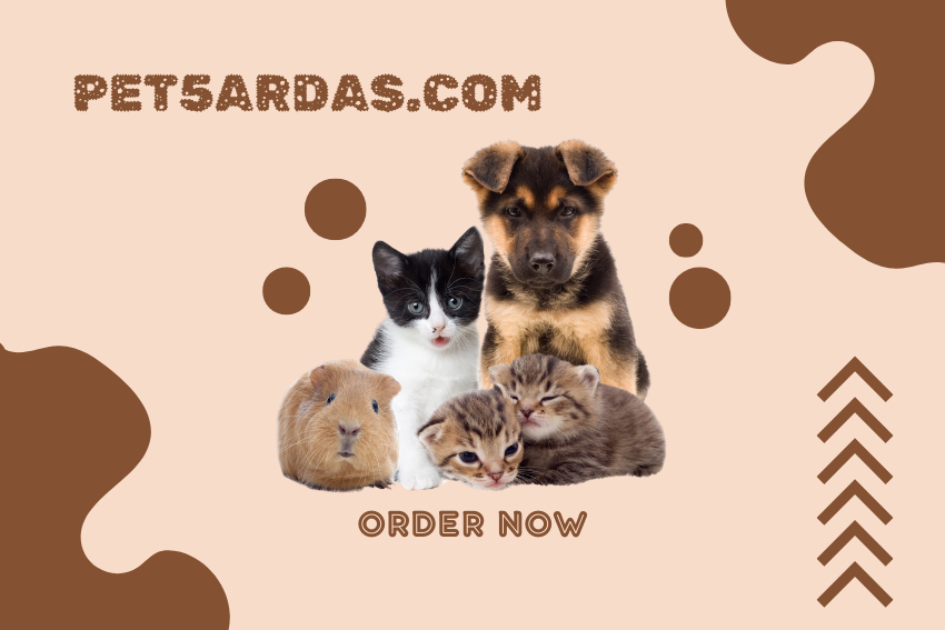 Pet5ardas.com